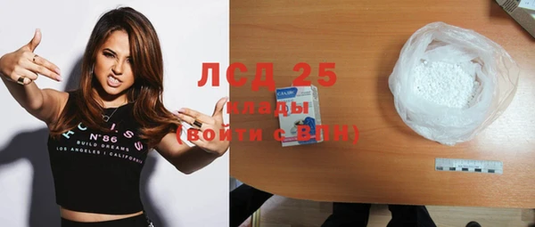 индика Рославль