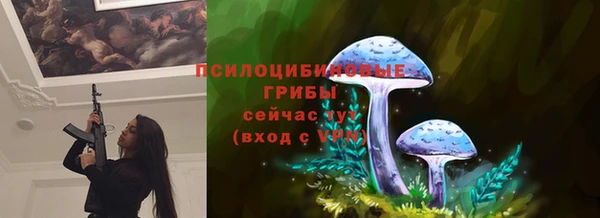 кокс Ростов